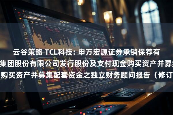 云谷策略 TCL科技: 申万宏源证券承销保荐有限责任公司关于TCL科技集团股份有限公司发行股份及支付现金购买资产并募集配套资金之独立财务顾问报告（修订稿）内容摘要