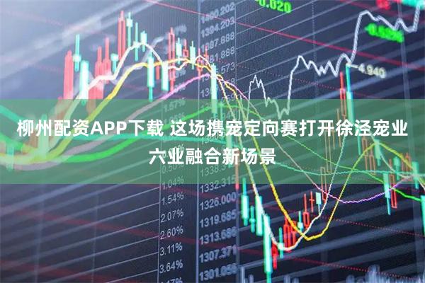 柳州配资APP下载 这场携宠定向赛打开徐泾宠业六业融合新场景